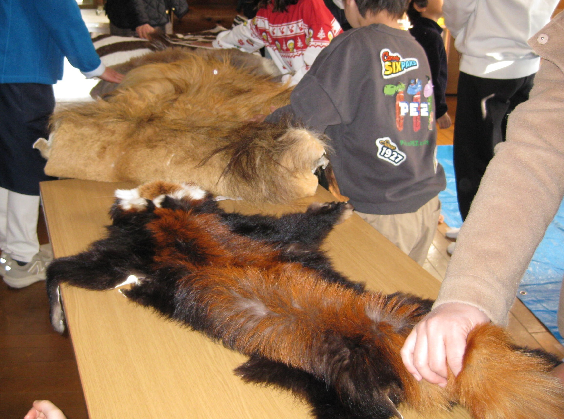 �Y�[���V�A�ƃN���X�}�X<BR>�F��ȓ����̖є�ɐG��܂���